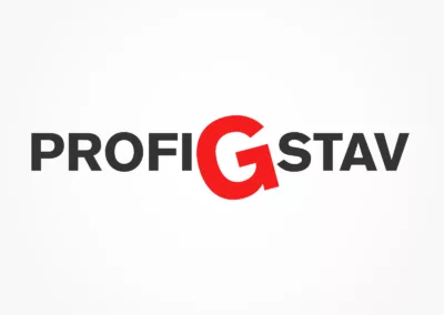 PROFIG STAV