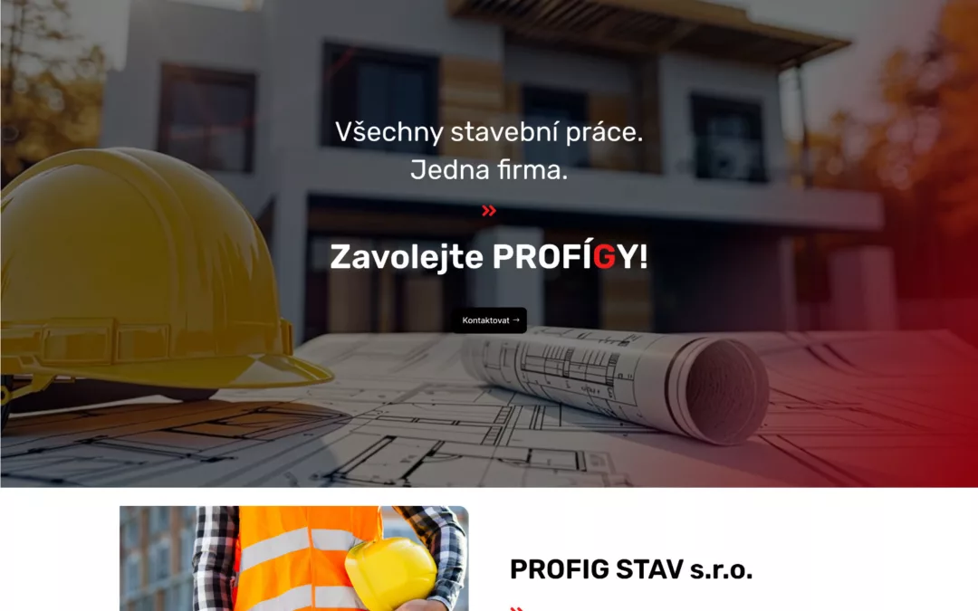 PROFIG STAV