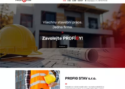 PROFIG STAV
